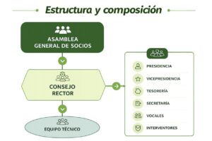 Estructura